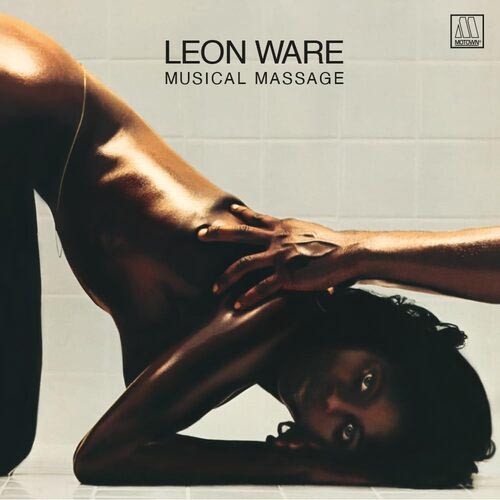レコード　LEON WARE MUSICAL MASSAGE 限定版 140g 4elelp50478a__90787.1778292101