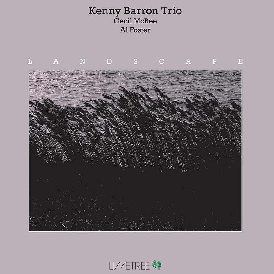 Kenny Barron Trio Landscape 180g Import LP