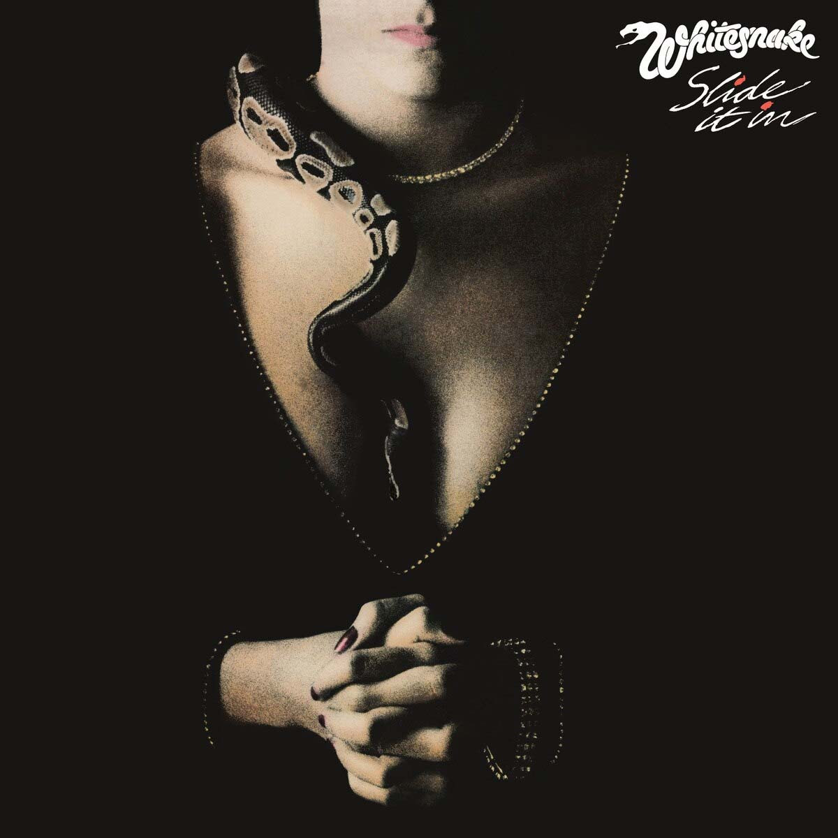 Whitesnake Slide It In LP