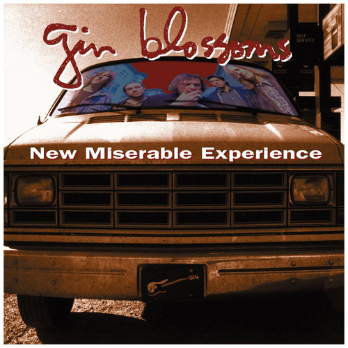 Gin Blossoms New Miserable Experience LP 1