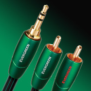 AudioQuest Evergreen 1.5M Mini Plug/RCA Interconnect Cable 1
