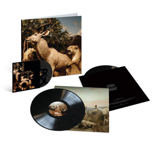 Interpol Our Love To Admire 180g 2LP & DVD 2