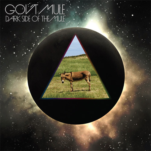 Gov't Mule Dark Side of the Mule 180g 2LP 1
