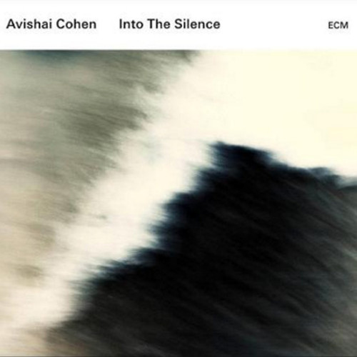 Avishai Cohen Into the Silence 180g 2LP