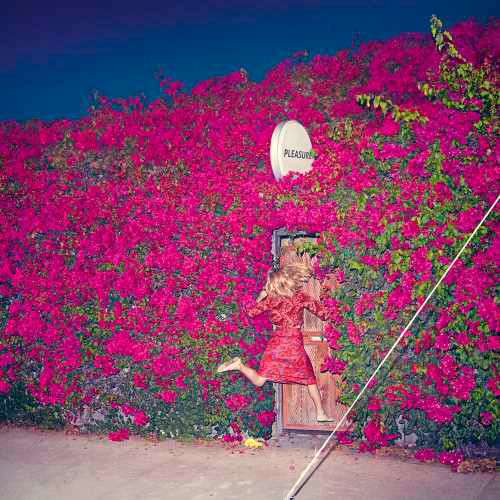 Feist Pleasure 2LP 1
