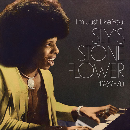 Sly Stone I'm Just Like You: Sly's Stone Flower 1969-70 160g 2LP 1