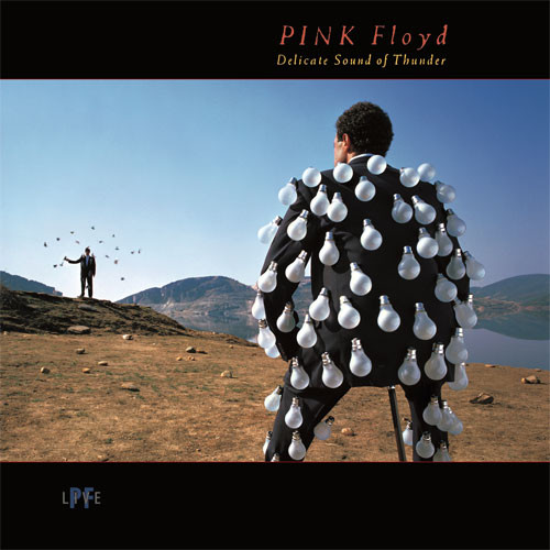 Pink Floyd Delicate Sound of Thunder (Live) 180g 2LP