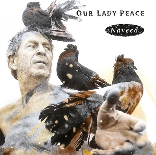 Our Lady Peace Naveed 180g Import LP (Transparent Mixed With  A Hint Of Black Vinyl) 1