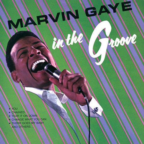 Marvin Gaye In the Groove 180g LP 1