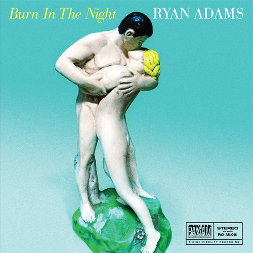 Ryan Adams Burn In the Night 45rpm 7" Vinyl 1