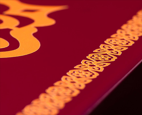 Pro-Ject George Harrison Special Edition Turntable 4