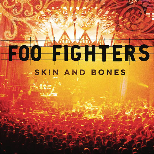 Foo Fighters Skin And Bones 2LP 1