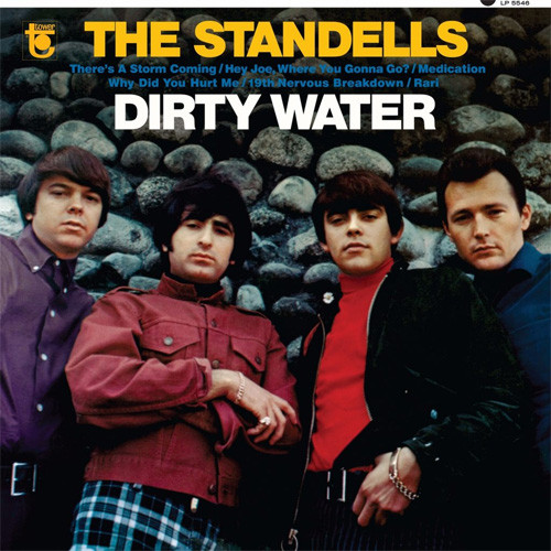 The Standells Dirty Water LP 1