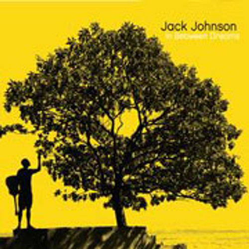 Jack Johnson In Between Dub LP