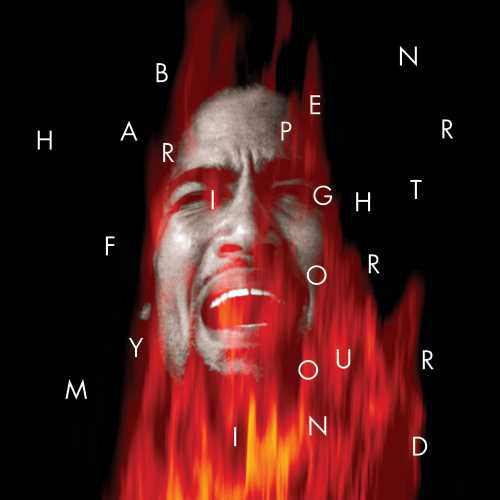 Ben Harper Fight For Your Mind 2LP (Red & Green Vinyl) 1