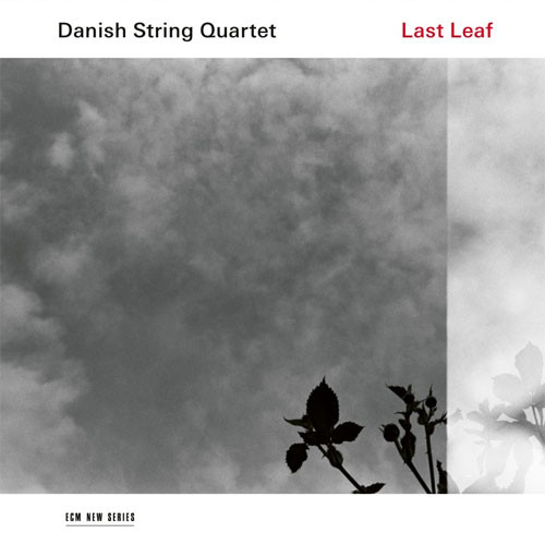 The Danish String Quartet Last Leaf LP 1
