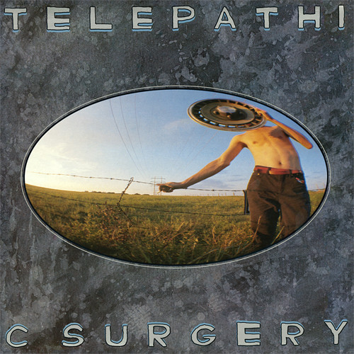 The Flaming Lips Telepathic Surgery LP 1