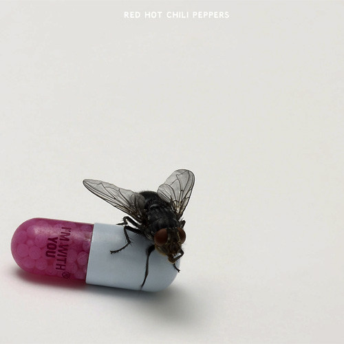 The Red Hot Chili Peppers I'm With You 2LP 1