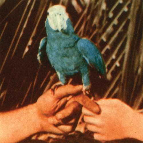 Andrew Bird Are You Serious LP 1