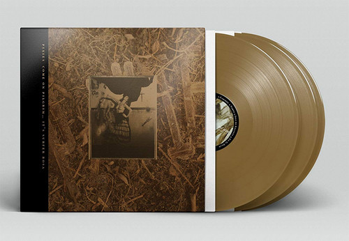 The Pixies Come On Pilgrim... It's Surfer Rosa 3LP (Bronze Vinyl) 2