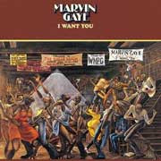 Marvin Gaye I Want You 180g LP