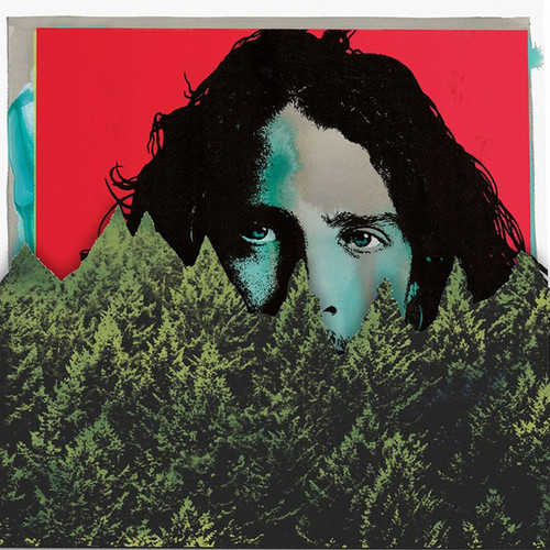 Chris Cornell Chris Cornell Limited Edition Die-Cut Slipcase 180g 2LP 2