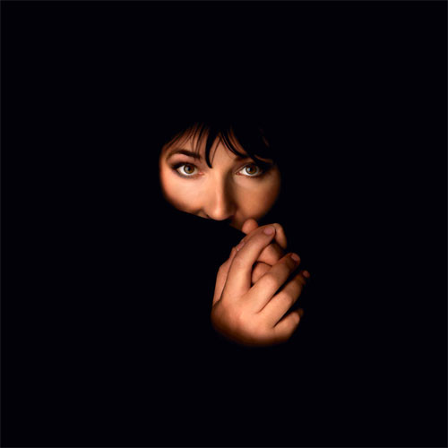 Kate Bush Remastered In Vinyl IV 180g 4LP Box Set 2