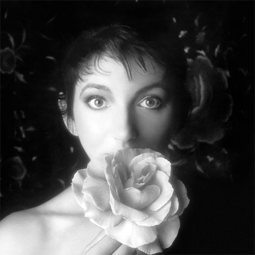 Kate Bush Remastered In Vinyl II 180g 4LP Box Set 2