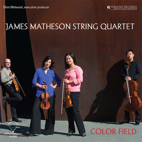The James Matheson String Quartet Color Field 180g 45rpm LP Scratch & Dent 1