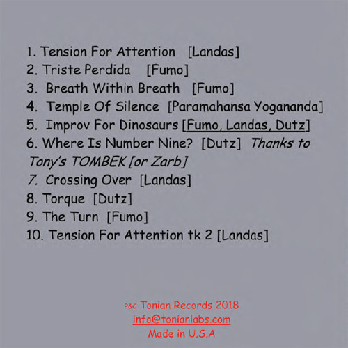The Tonian Trio II Moon Jazz CD 2