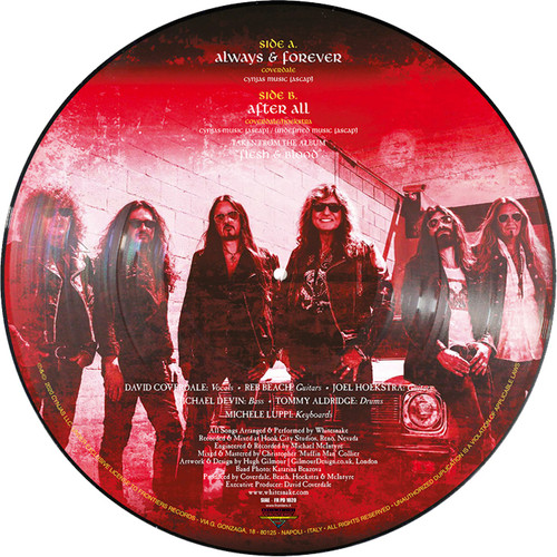 Whitesnake Always & Forever 45rpm 12" Vinyl (Picture Disc) 2