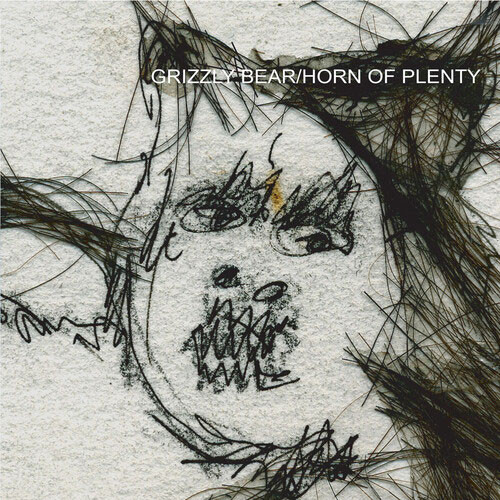 Grizzly Bear Horn Of Plenty LP (Cloudy Clear Vinyl) 1