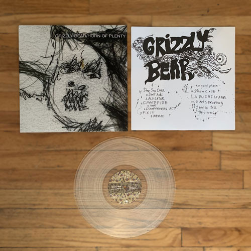 Grizzly Bear Horn Of Plenty LP (Cloudy Clear Vinyl) 3