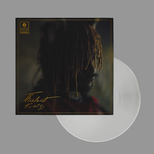 Thundercat It Is What It Is LP (Clear Vinyl) 1