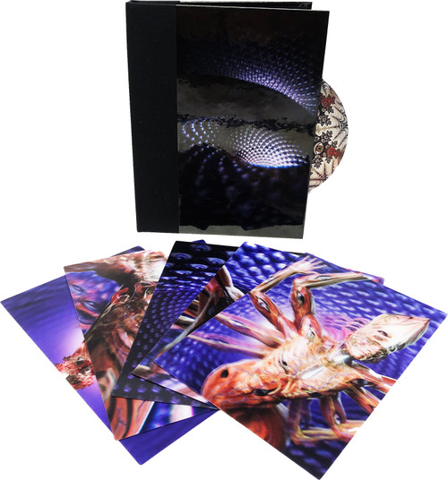 Tool Fear Inoculum CD (Deluxe Edition) Scratch & Dent 2