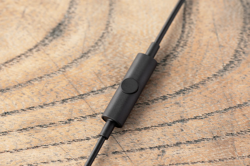 Final Audio Design E1000C Earphones (Black) 6