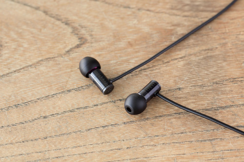 Final Audio Design E1000C Earphones (Black) 1