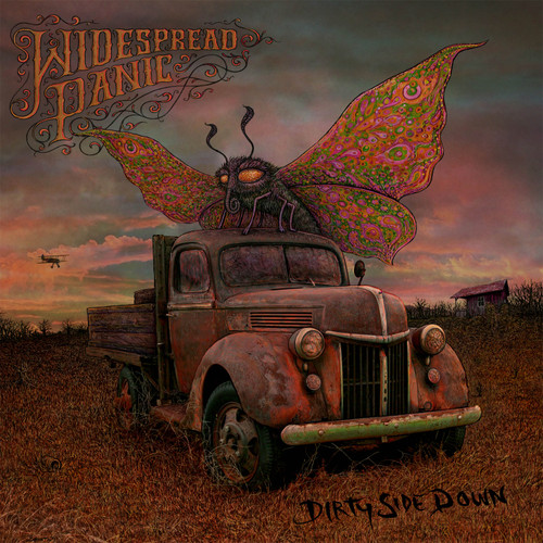 Widespread Panic Dirty Side Down 2010 Pressing 180g 2LP & CD 1