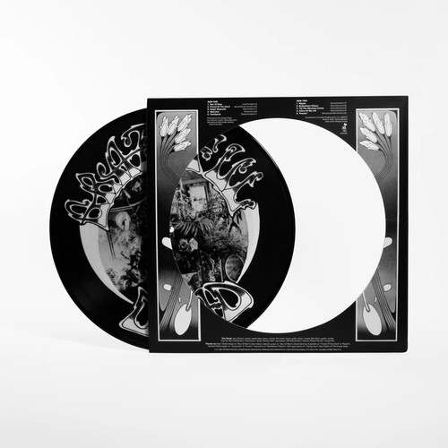 The Grateful Dead American Beauty 50th Anniversary LP (Picture Disc) 4