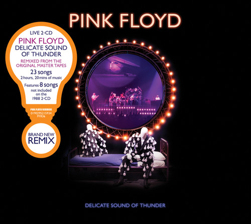 Pink Floyd Delicate Sound Of Thunder 2CD 2