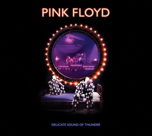 Pink Floyd Delicate Sound Of Thunder 2CD