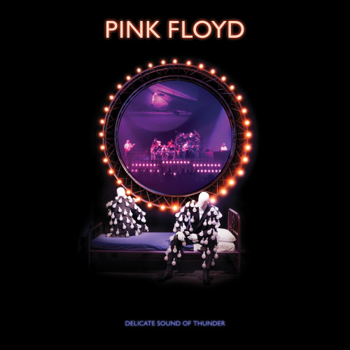 Pink Floyd Delicate Sound Of Thunder 180g 3LP 3