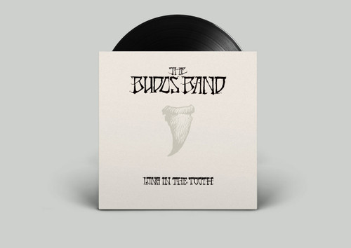 The Budos Band Long In The Tooth LP 3