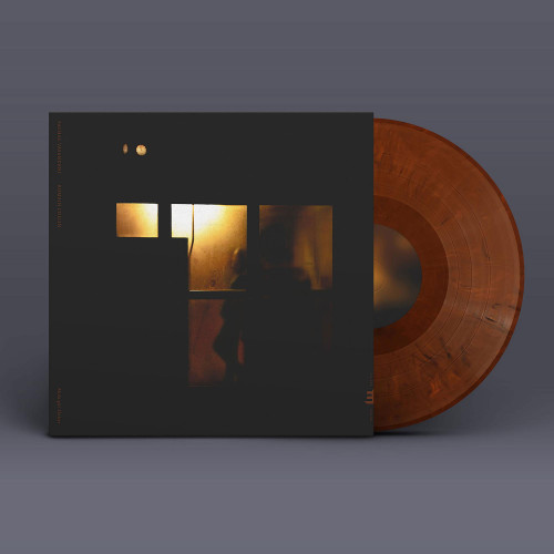 Sachal Vasandani Midnight Shelther LP (Color Vinyl) 1