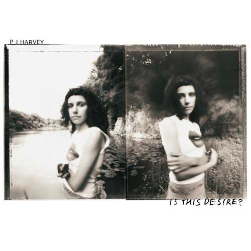 PJ Harvey Is This Desire? 180g LP 3
