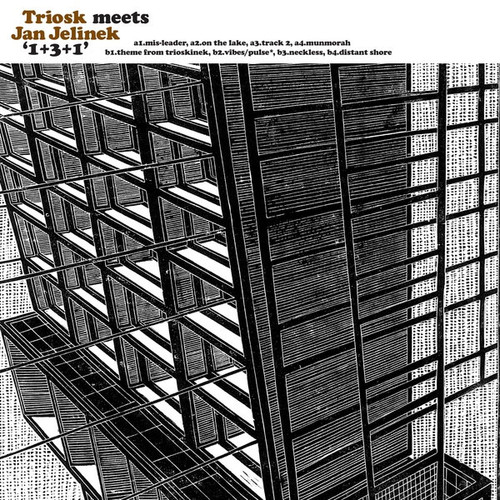 Triosk Meets Jan Jelinek 1+3+1 Import LP 1