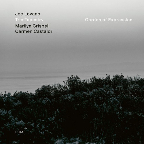 Joe Lovano, Marilyn Crispell & Carmen Castaldi Trio Tapestry: Garden Of Expression LP 1