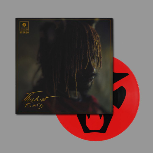 Thundercat It Is What It Is LP (Picture Disc)
