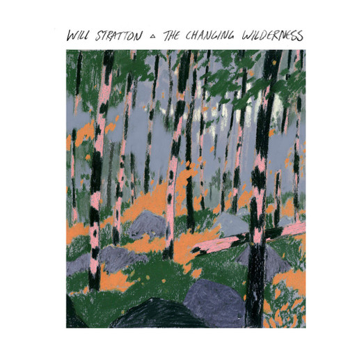 Will Stratton The Changing Wilderness LP 1