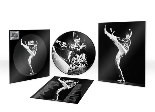 David Bowie The Man Who Sold The World LP (Picture Disc) 2